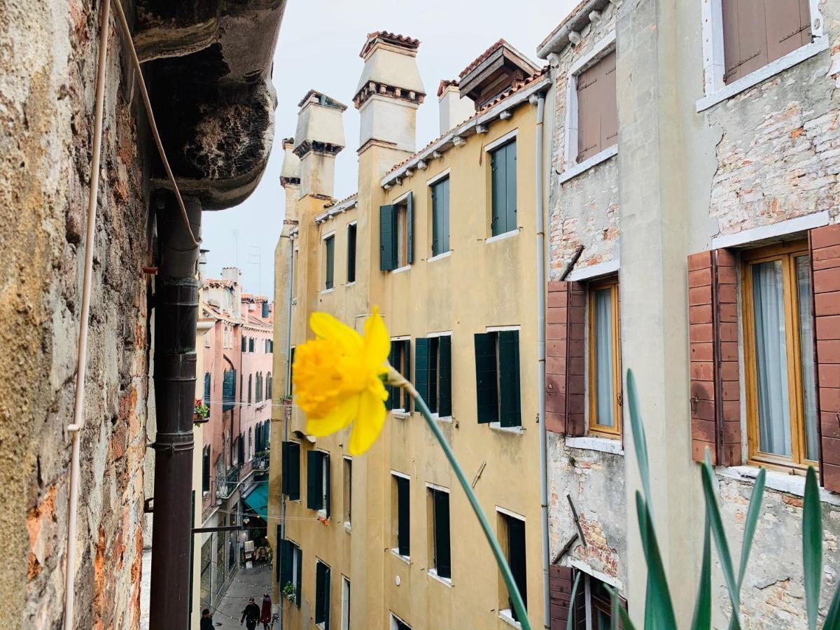 Rooftop Terrace Domus Dei Fabbri Venice Exterior photo