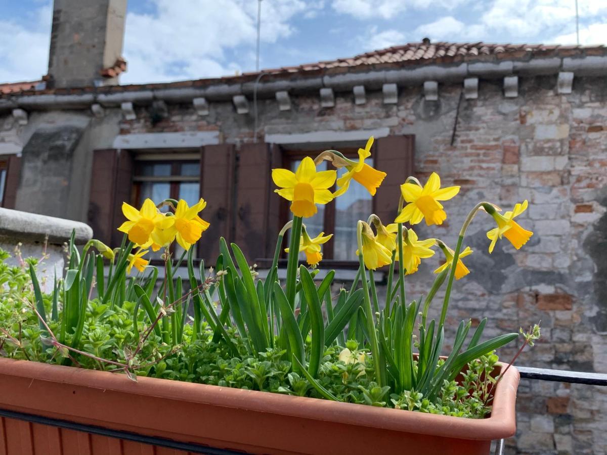 Rooftop Terrace Domus Dei Fabbri Venice Exterior photo